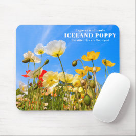 Iceland Poppy マウスパッド