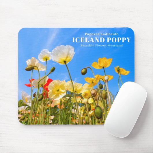 Iceland Poppy マウスパッド (マウス)