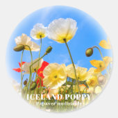 Iceland Poppy ラウンドシール (正面)