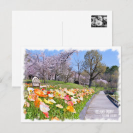 Iceland Poppy × Yoshino Cherry ポストカード