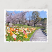 Iceland Poppy × Yoshino Cherry ポストカード (正面)