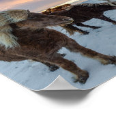 Iceland Wild Horses Travel Photo ポスター (角)