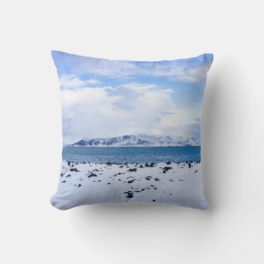 Iceland Winter Wonderland クッション (正面)