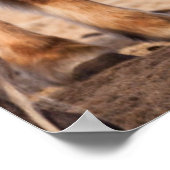 Icelandic Horse during winter ポスター (角)