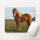 Icelandic Horse in Sunset Light マウスパッド (マウス)