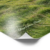 Icelandic horses; country scene フォトプリント            (角)