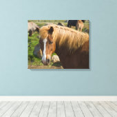 Icelandic Horses in Northeastern Iceland キャンバスプリント (インサイチュ (ウッドフロア))