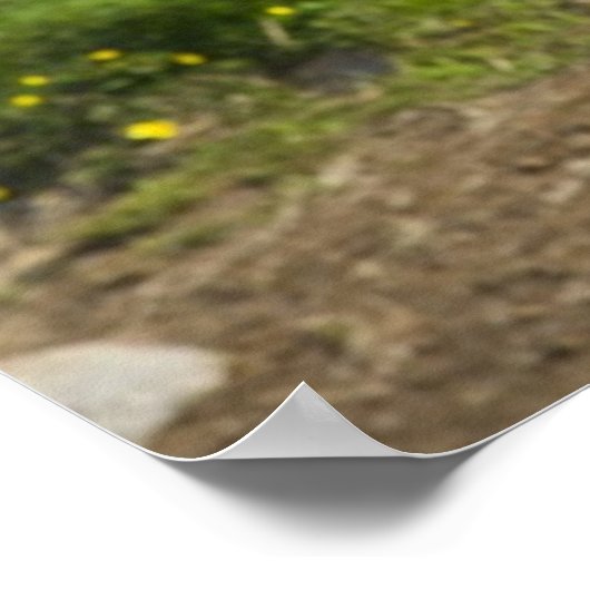 Icelandic Horses in Northeastern Iceland ポスター (角)