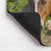 Icelandic Horses in Northeastern Iceland マウスパッド (コーナー)