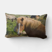 Icelandic Horses in Northeastern Iceland ランバークッション (裏面)