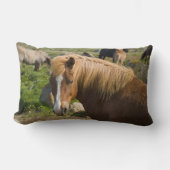 Icelandic Horses in Northeastern Iceland ランバークッション (正面)
