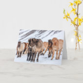 Icelandic Horses in Winter Pasture Near Hofn カード (黄色い花)
