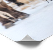 Icelandic Horses in Winter Pasture Near Hofn ポスター (角)