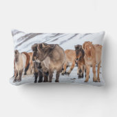 Icelandic Horses in Winter Pasture Near Hofn ランバークッション (正面)