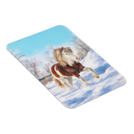 Icelandic Pinto Winter Magnet マグネット (右側)