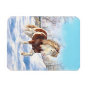 Icelandic Pinto Winter Magnet マグネット (横)