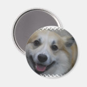 icelandic-sheepdog-2.jpg マグネット (正面/裏面)