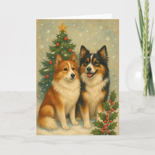 Icelandic Sheepdog Christmas Card シーズンカード (正面)