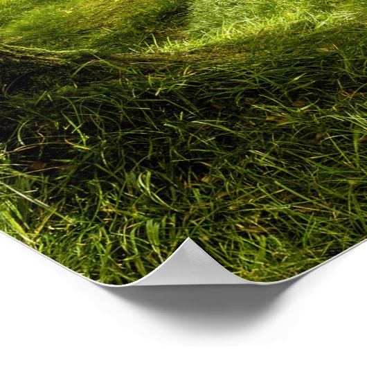 Icelandic Turf Church ポスター (角)