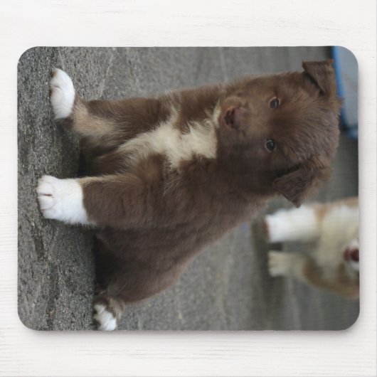 IcelandicSheepdog_20171202_by_JAMFoto マウスパッド (正面)