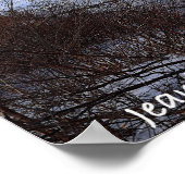 Icey Delaware ポスター (角)