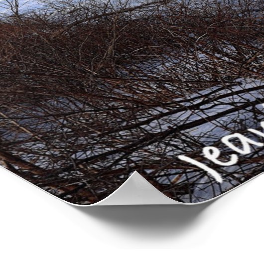 Icey Delaware ポスター (角)