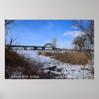 Icey Delaware ポスター