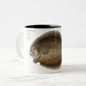 「IchからのTurbot (Pleuronectes Maximus)のプレートXLIX ツートーンマグカップ (正面左)