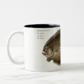 「IchからのTurbot (Pleuronectes Maximus)のプレートXLIX ツートーンマグカップ (左)