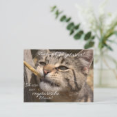 Ich esse nur vegetarische Mäuse... ポストカード (スタンド正面)