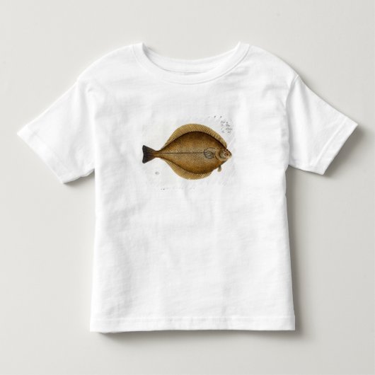 (「IchthyからのPleuronectesのLimandaの)プレートXLVIを軽く押えて下さい トドラーTシャツ (正面)