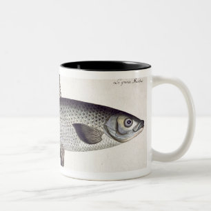 「Ichthyoloからのサケ(Salmo Maraena)のプレートXXVII ツートーンマグカップ