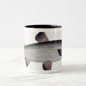 「Ichthyoloからのサケ(Salmo Maraena)のプレートXXVII ツートーンマグカップ (中央)