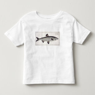 「Ichthyoloからのサケ(Salmo Maraena)のプレートXXVII トドラーTシャツ