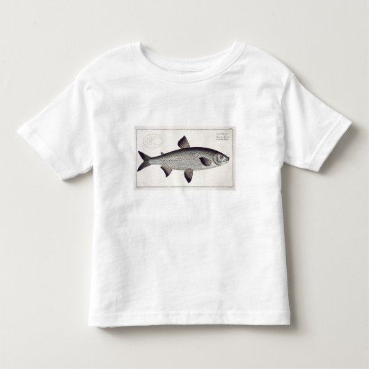 「Ichthyoloからのサケ(Salmo Maraena)のプレートXXVII トドラーTシャツ (正面)