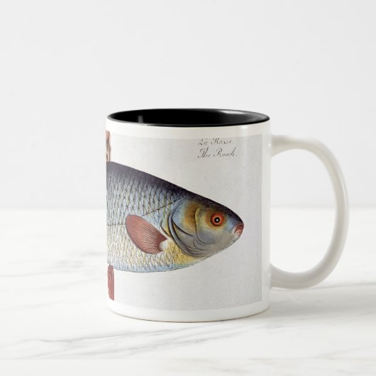 「Ichthyologからのゴキブリ(Cyprinus Rutilis)のプレートII ツートーンマグカップ (右)