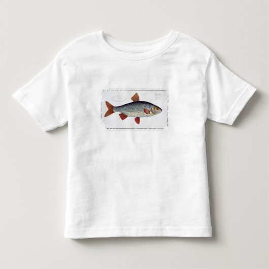 「Ichthyologからのゴキブリ(Cyprinus Rutilis)のプレートII トドラーTシャツ (正面)