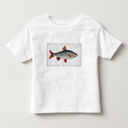 「Ichthyologからのゴキブリ(Cyprinus Rutilis)のプレートII トドラーTシャツ (正面)