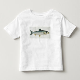 「Ichthyologieからのサケ(Salmoサラール族)のプレートXX、 トドラーTシャツ