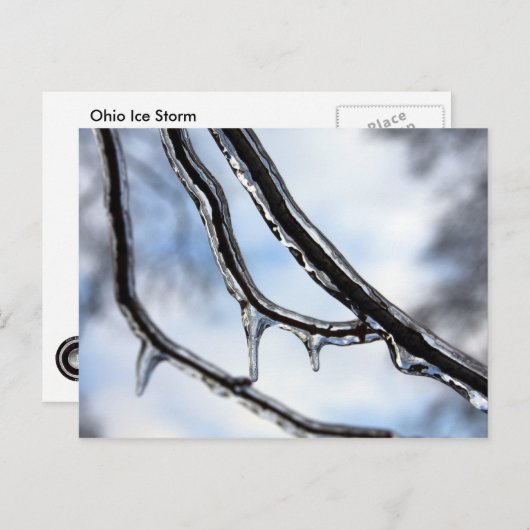 Icy Branchesはがき ポストカード (正面/裏面)