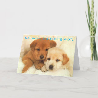 Icyhotを誤解しないで下さい カード