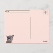 IDボックス威厳のある付きポストクロッシングクーガーはがき ポストカード (裏面)