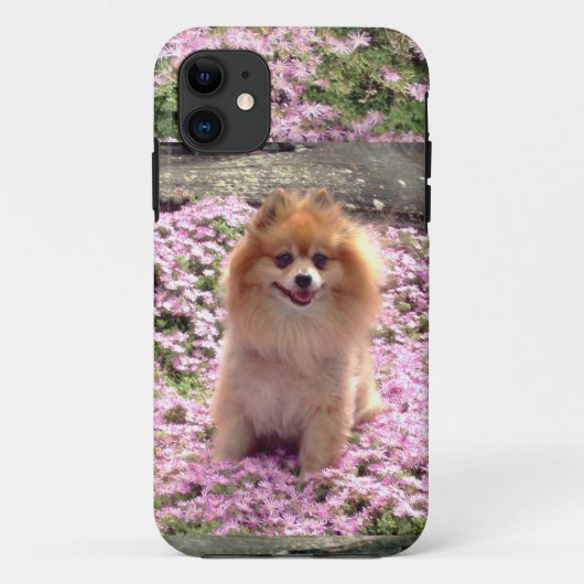 ID/CreditカードiPhone 5つのポメラニア犬のピンクの花 Case-Mate iPhoneケース (裏面)