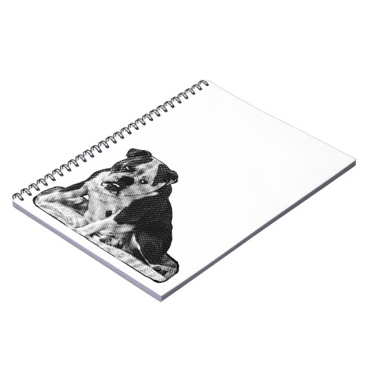 Ideas in Gentle Tones ノートブック (左側)