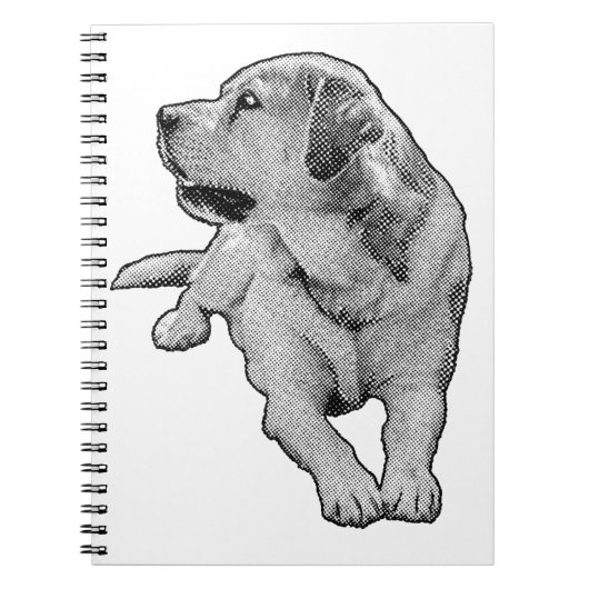 Ideas in Tiny Tones ノートブック (正面)