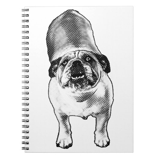 Ideas in Tiny Tones ノートブック (正面)