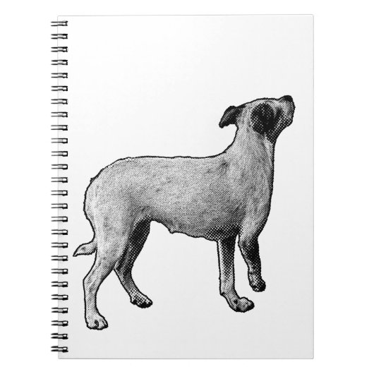 Ideas Looking Up ノートブック (正面)