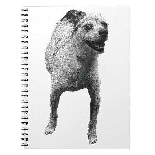 Ideas With A Wag ノートブック (正面)