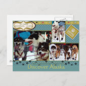 Iditarodの忠節な友達 ポストカード (正面/裏面)