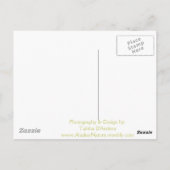 Iditarodの忠節な友達 ポストカード (裏面)